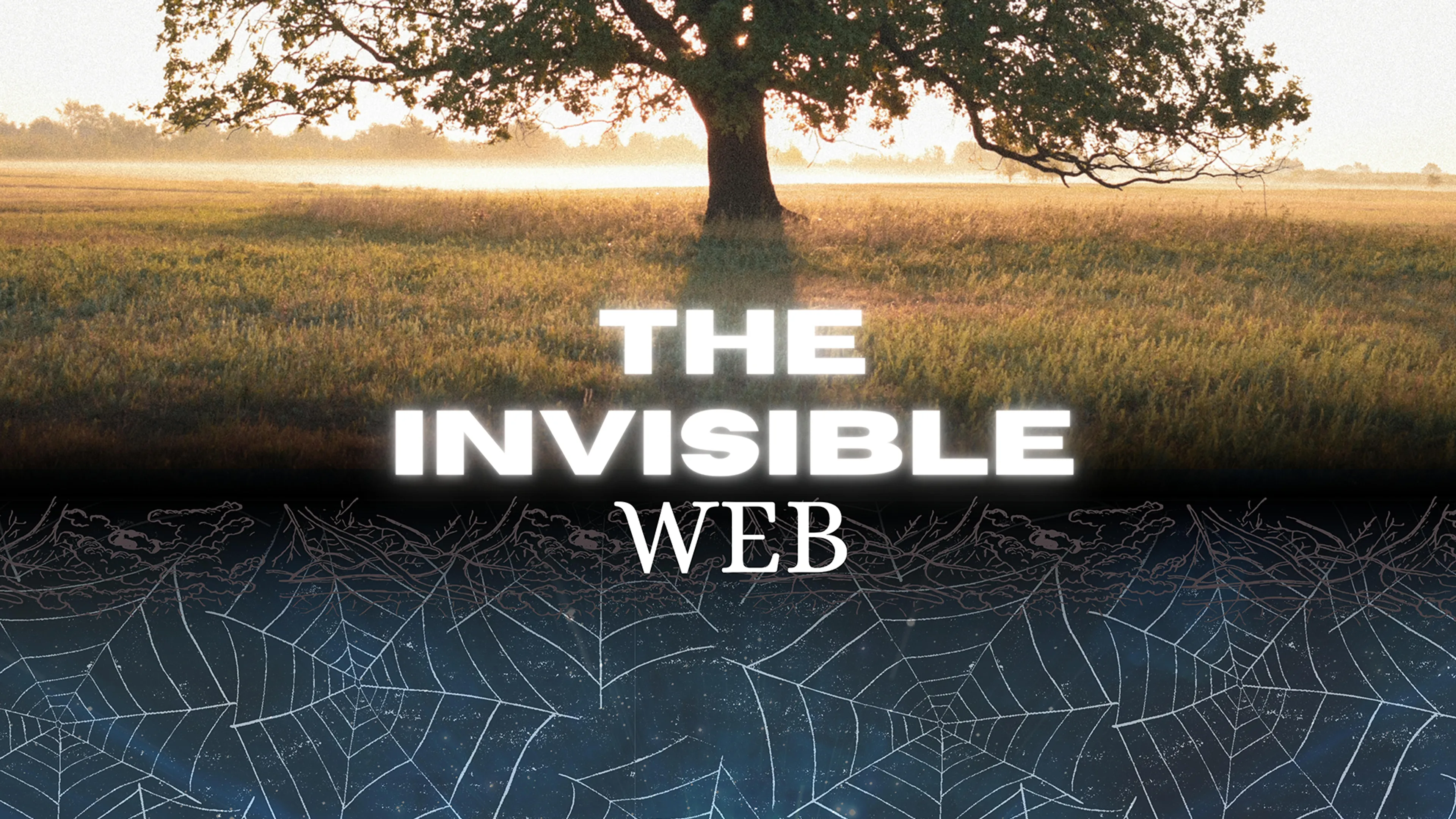 The Invisible Web poster